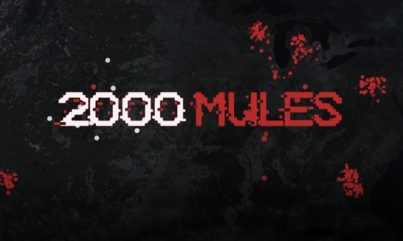 2000 Mules on One America News Network