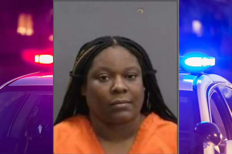 (Photo via; Hillsborough County Sheriff's Office)